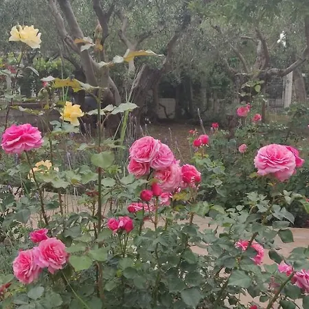 Harmony