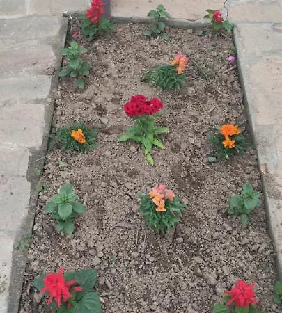 Harmony Vergia